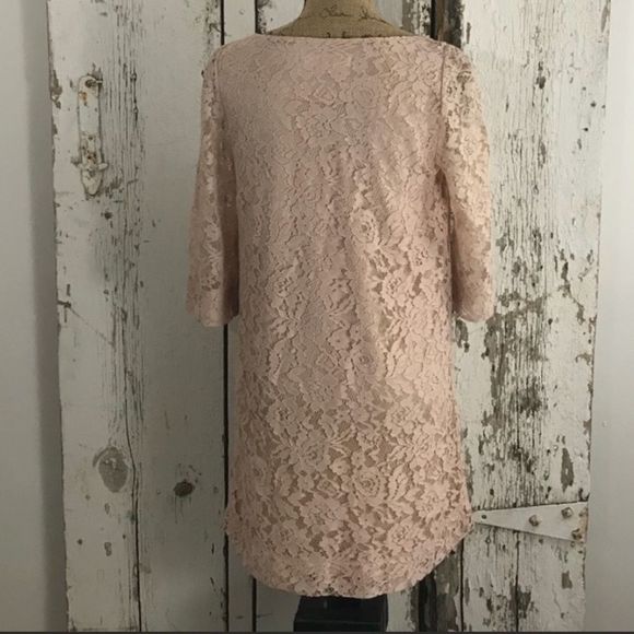 Fossil Blush 3/4 Sleeve shift lace Dress - Picture 2 of 6